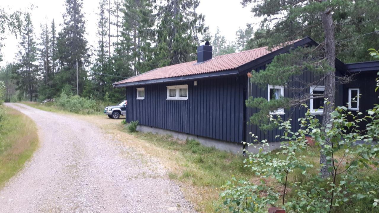 Granheim Hytte Med 2 Soverom Birkeland Zewnętrze zdjęcie